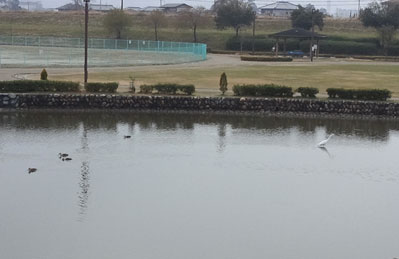 2013fuyu_02