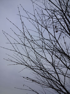 2013fuyu_06