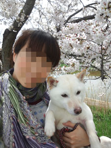 20130401koro4