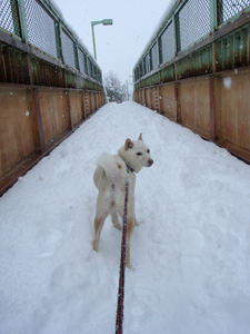 雪の日ころも